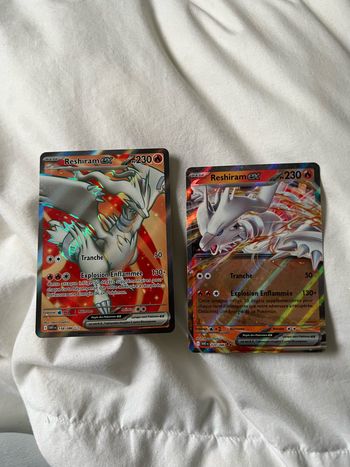 Reshiram AR + EX