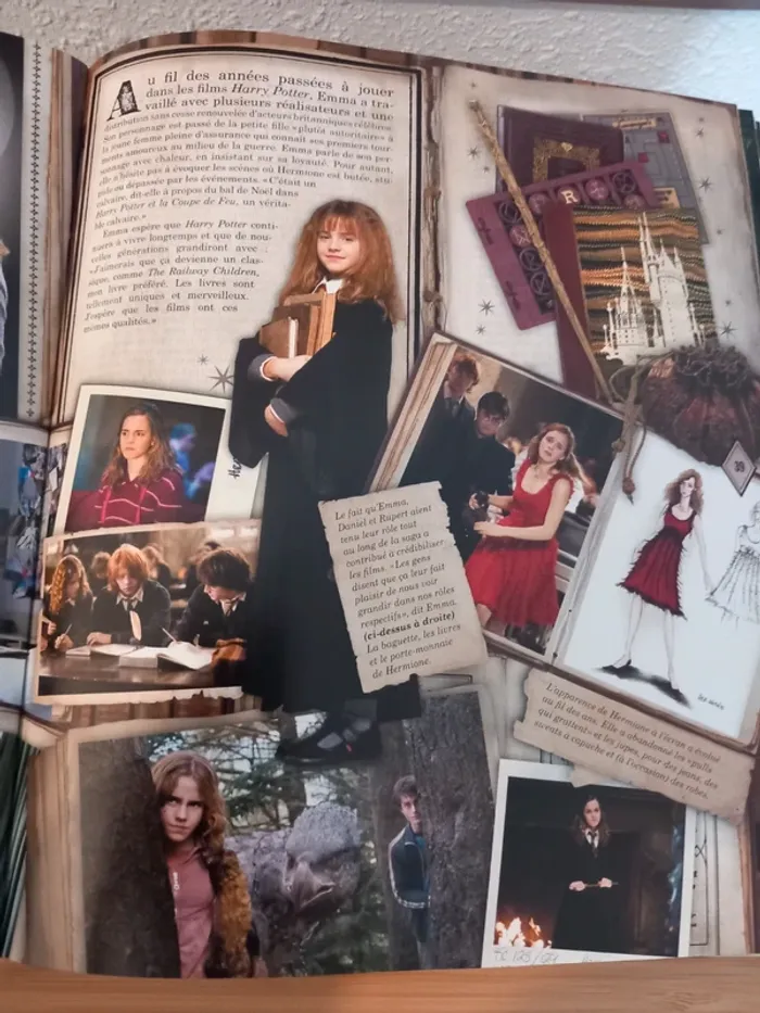 Livre Harry Potter la magie des films - photo numéro 7