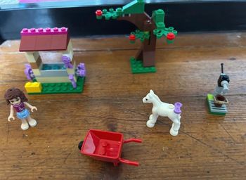 LEGO® Friends 41003, Olivia & son bébé poulain