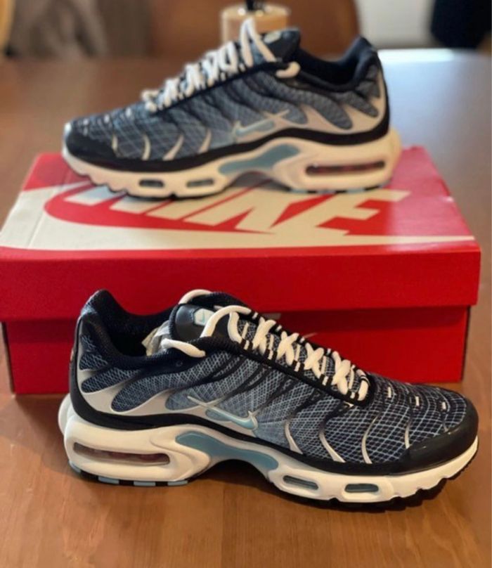 Nike air max plus taille 42