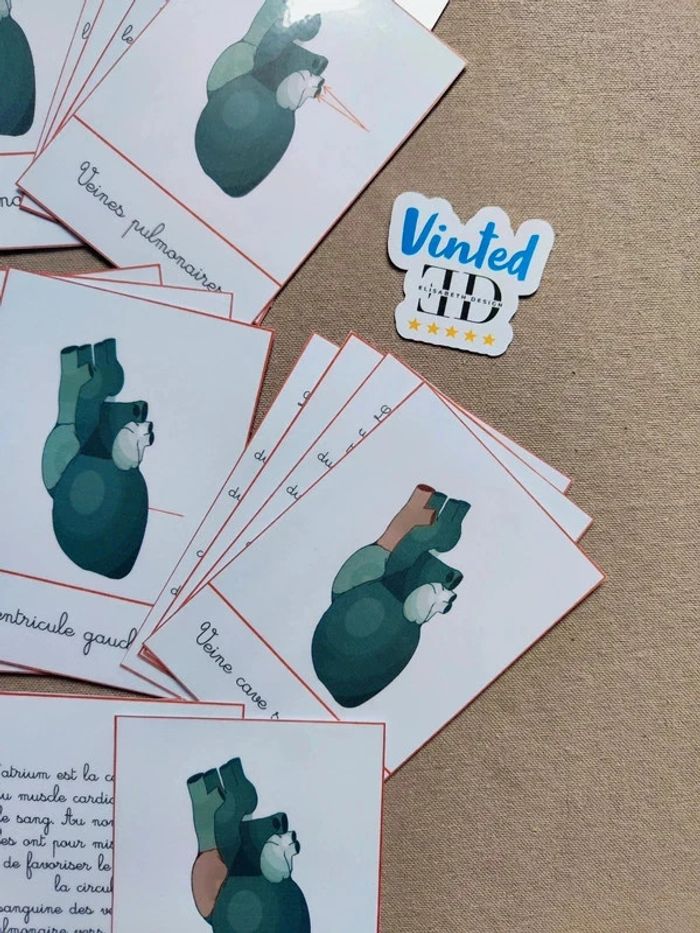 Cartes de nomenclature de la structure du coeur - photo numéro 4