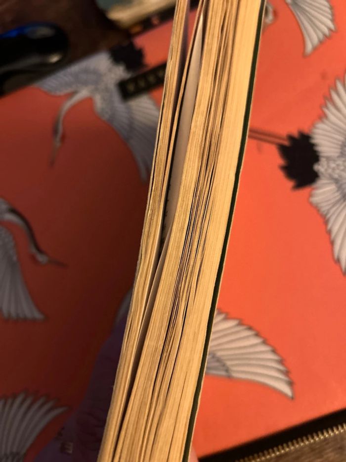 ta deuxième vie commence quand tu comprends que tu n’en as qu’une - photo numéro 2