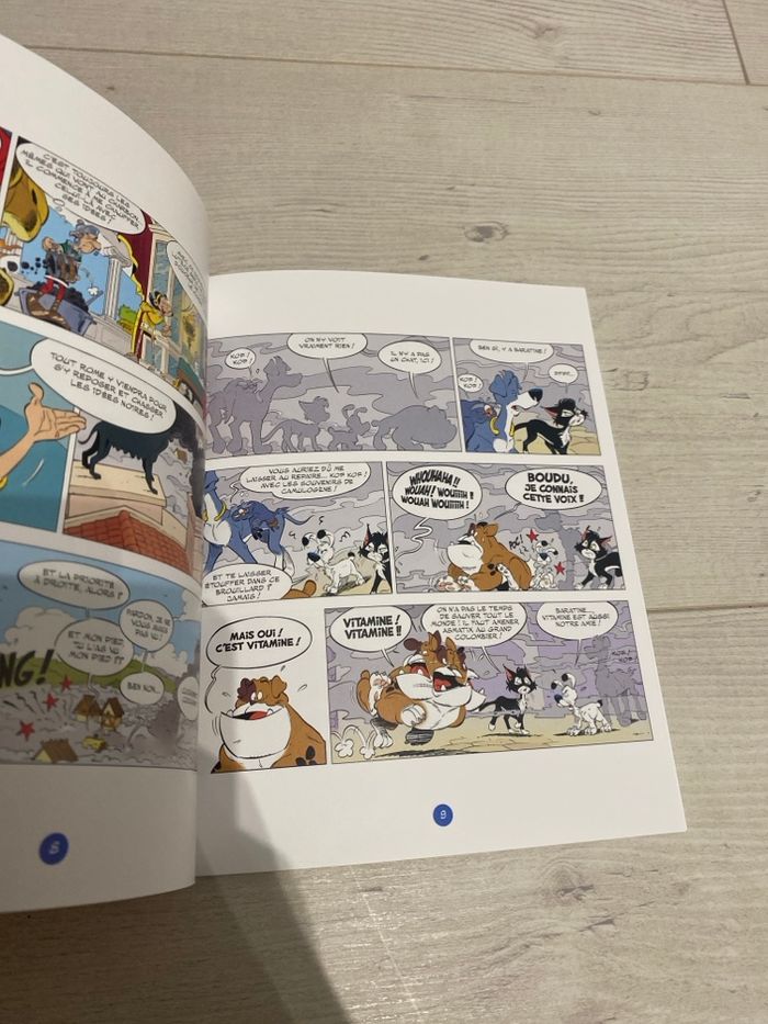 Bande dessinée, ideFix et les irréductibles - photo numéro 3