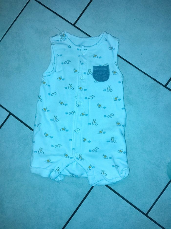 Grenouillère - photo numéro 2