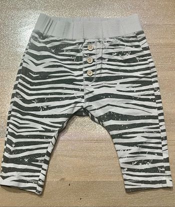 Sarouel zèbre zara baby boy