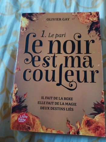 Roman Le Noir est ma couleur tome 1 Le Pari - Olivier Gay
