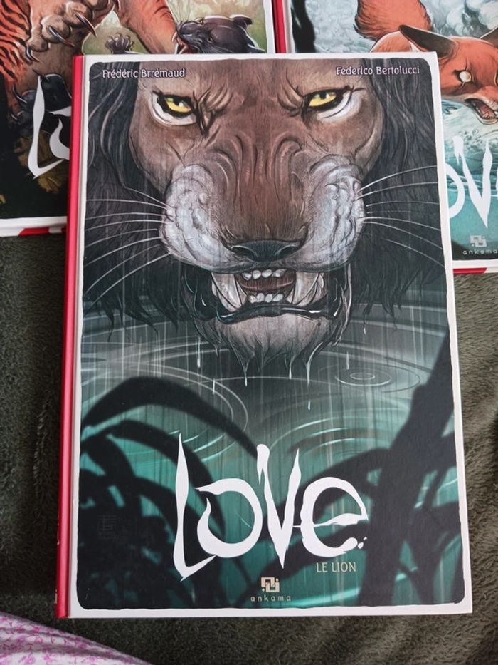 BD sans paroles LOVE le lion, le tigre et le renard - photo numéro 3