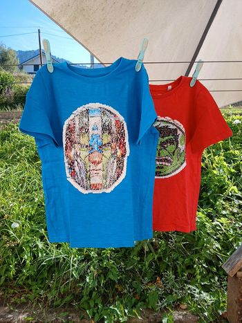 Lot tee-shirt jumeaux disney
