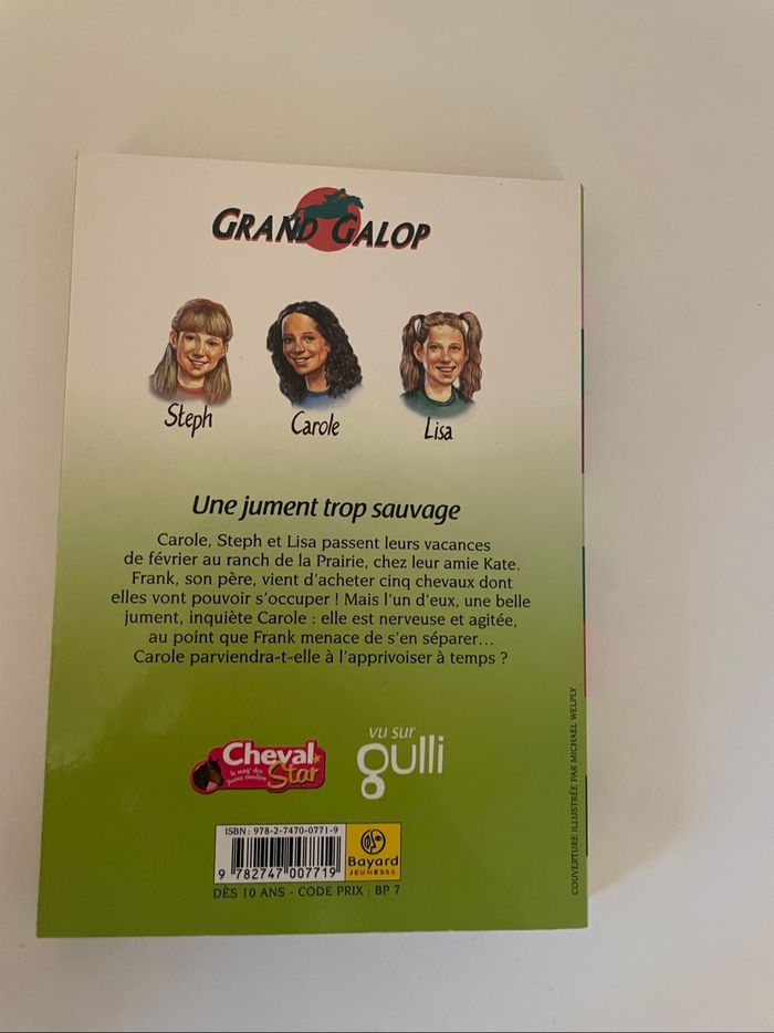 Livre grand galop : un jument trop sauvage - photo numéro 2