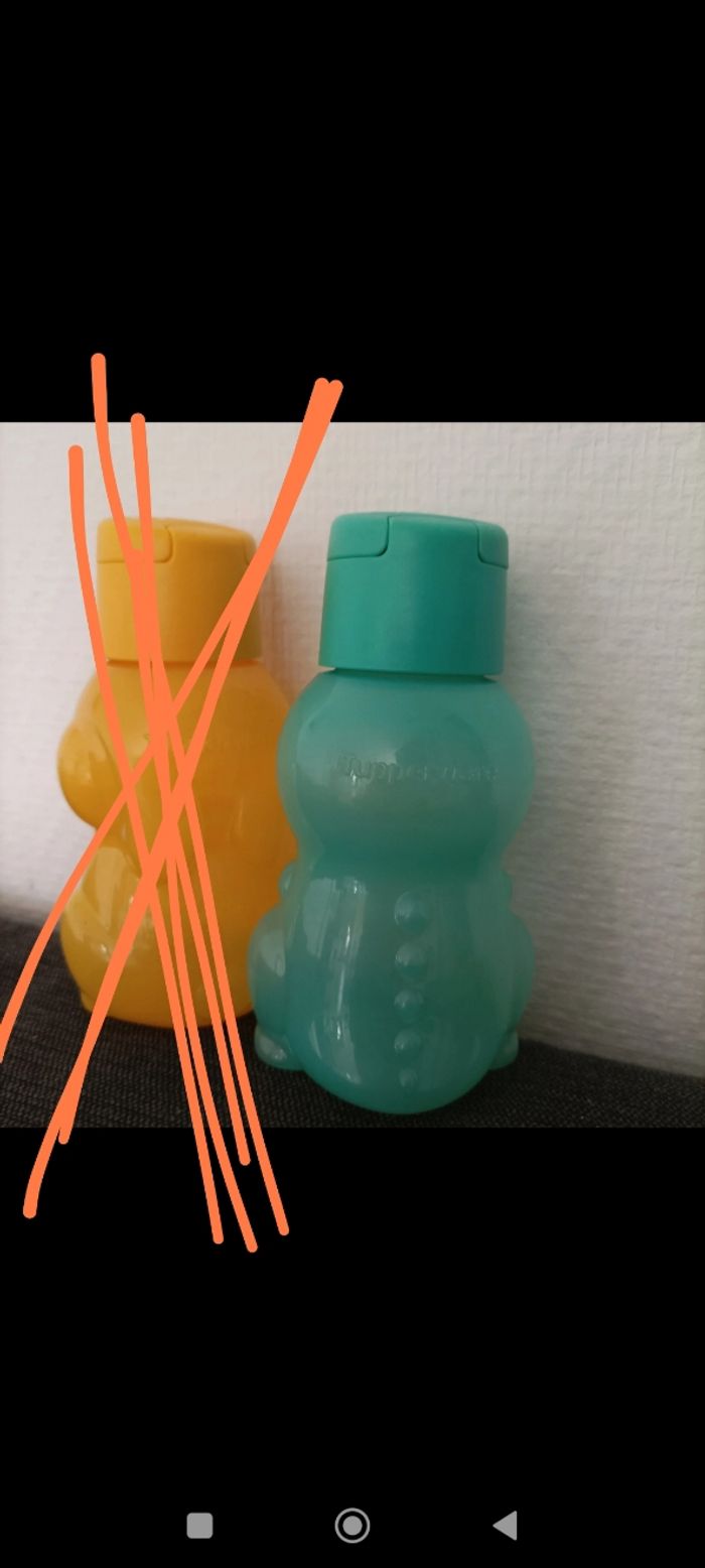 Éco bouteilles/gourde tupperware - photo numéro 2