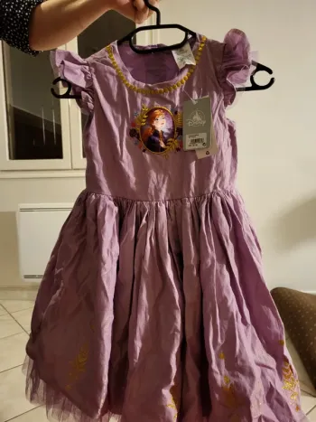 Robe princesse Anna la Reine des Neiges