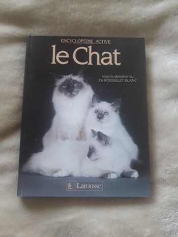 Le chat