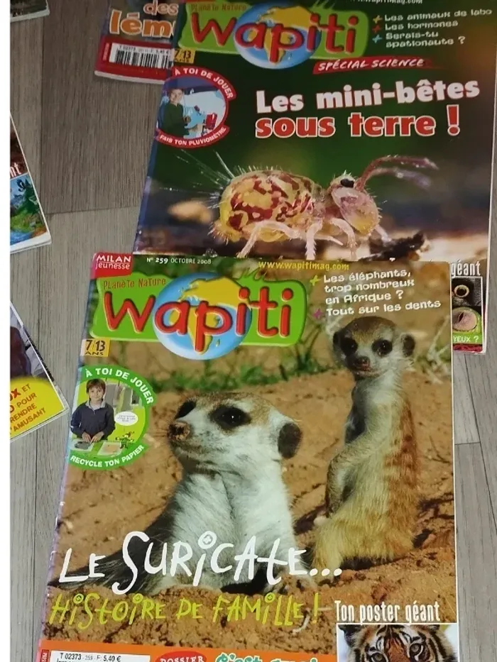 Lot de 7 magazines Wapiti année 2008-09 L025 - photo numéro 9