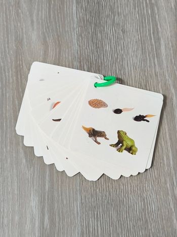 Carnet livret de 34 cycles de vie de croissances des animaux