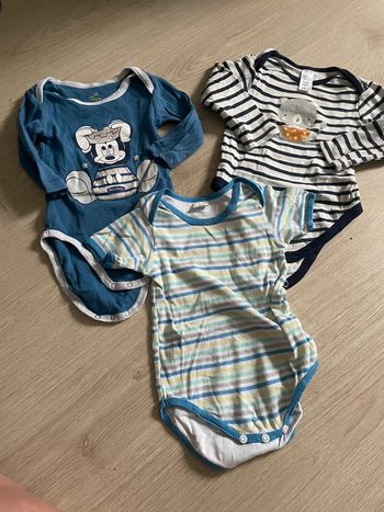 Lot 3 bodys 12 mois