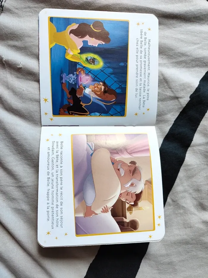 Livre la Belle et la bête - photo numéro 3