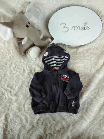 Veste gilet zippé à capuche Garçon 3 mois Comme un poisson dans l'eau Kiabi