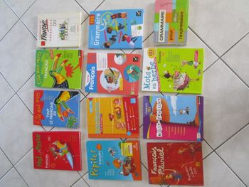 Lot de 12 livres Français CE2