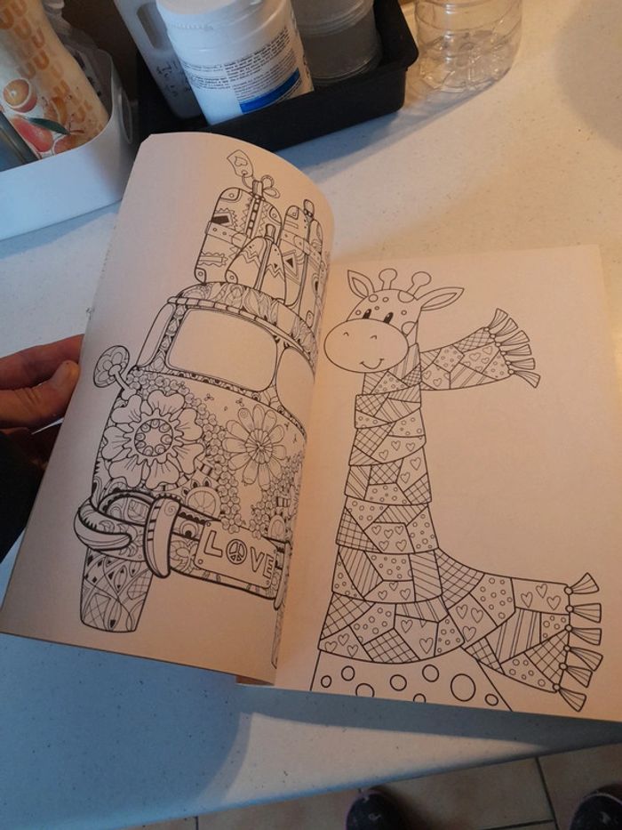 Gros livre de coloriage - photo numéro 7