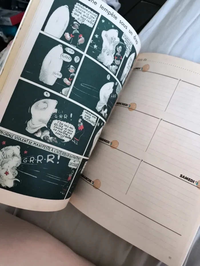 Agenda collector Popeye - photo numéro 8
