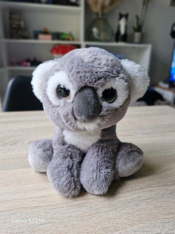 Peluche koala