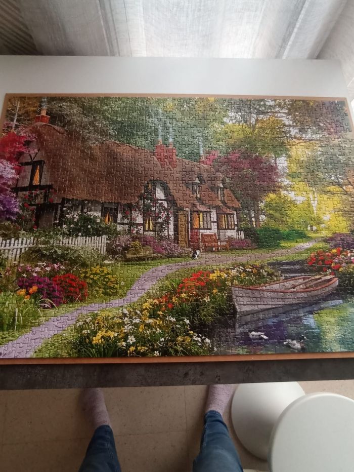Puzzle 1000 pièces zoe - photo numéro 2