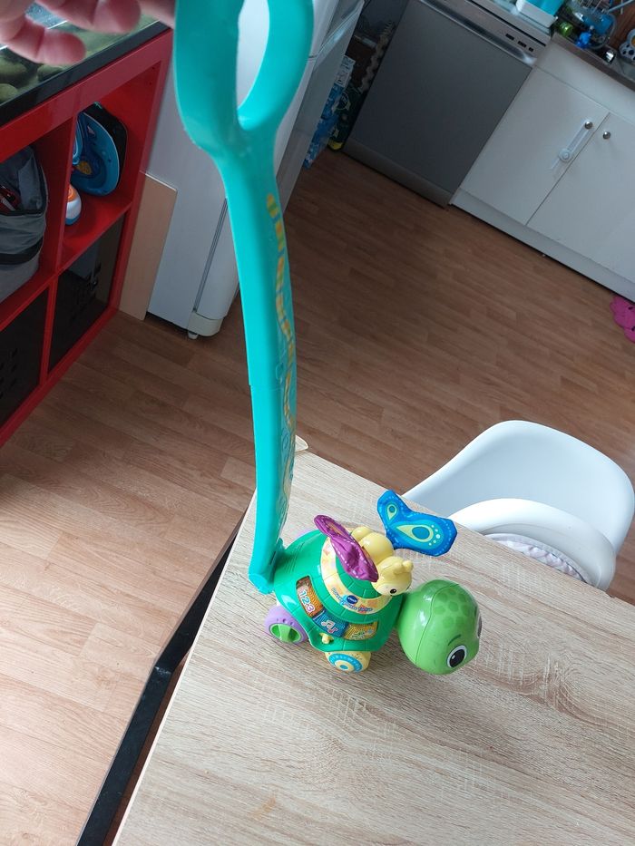 Papillions - photo numéro 2