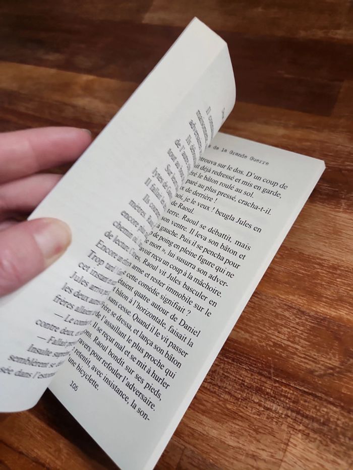 Livre : Deux fils de la grande guerre - photo numéro 4