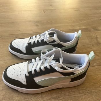 Basket puma