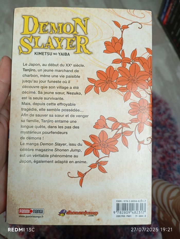 Manga demon slayer - photo numéro 2