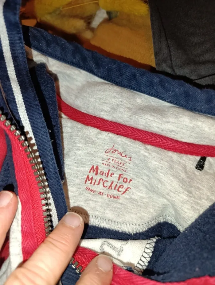 Joli sweat garçon Joules taille 4 ans - photo numéro 7