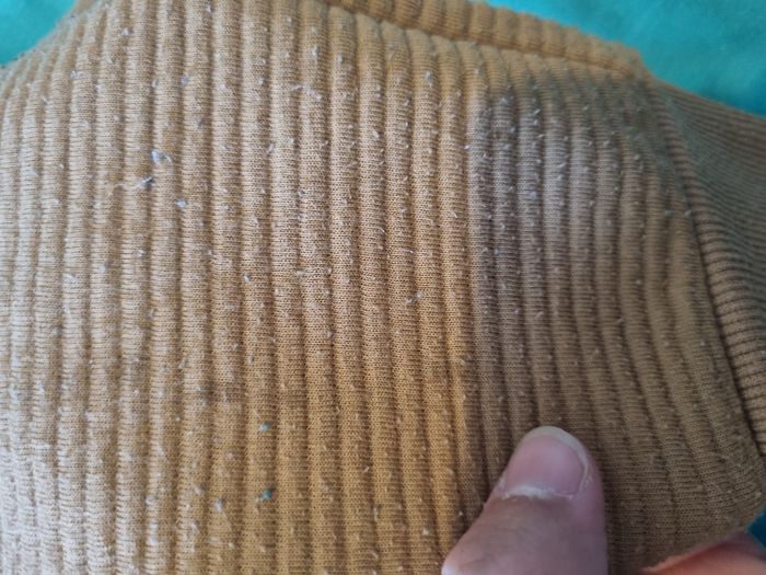 Jogging camel 18mois - photo numéro 2