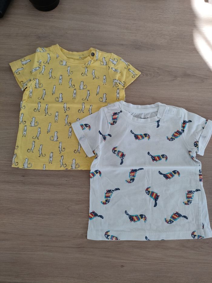 Lot de 2 t-shirt manches courtes