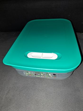 Boîte Ventilo frais 1,8L Tupperware