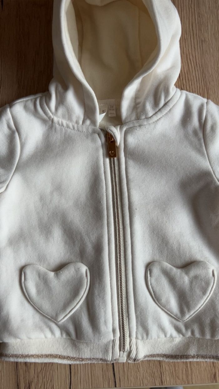 Gilet à capuche fermeture éclair - photo numéro 3
