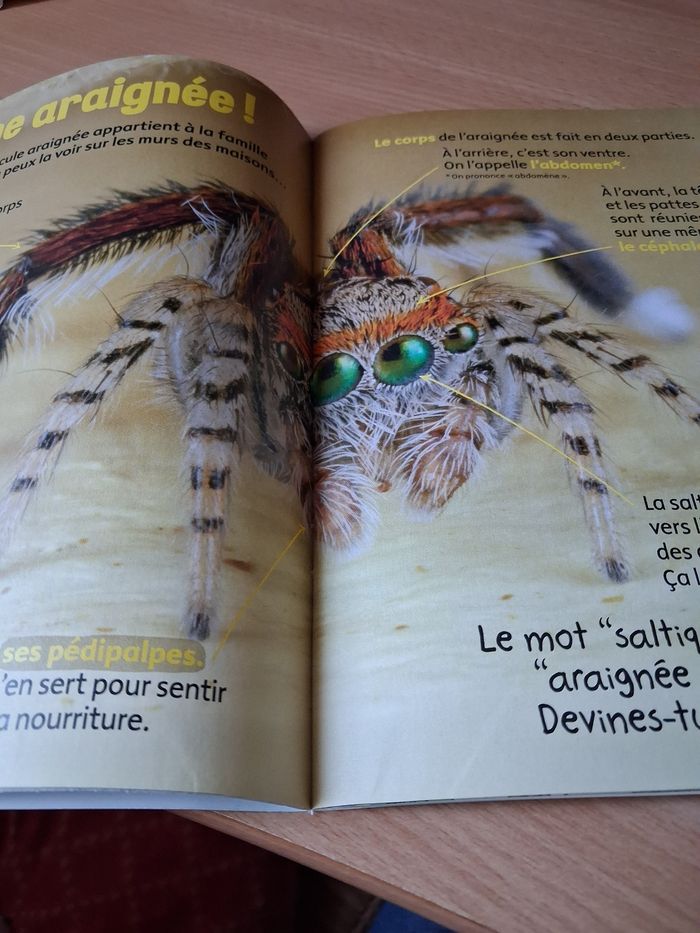 Youpi doc - photo numéro 3