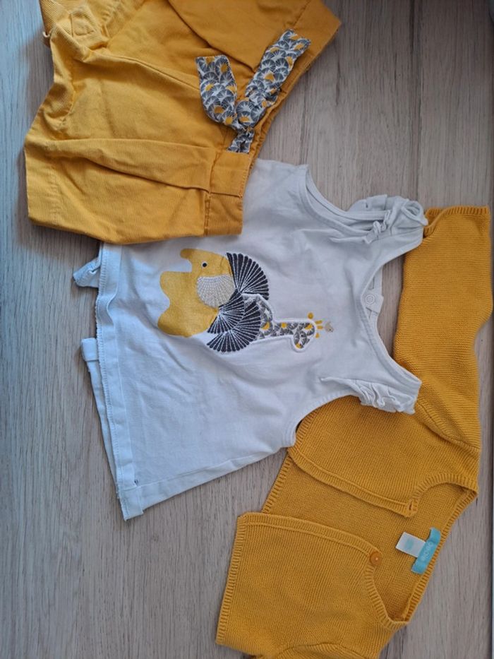 Ensemble okaidi