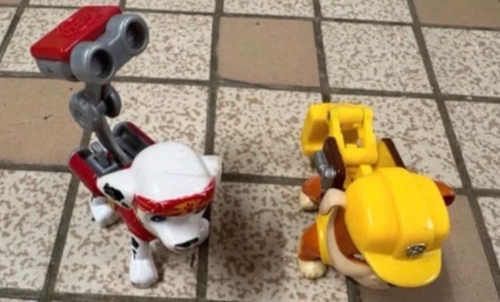 Camion et avion pat patrouille - photo numéro 2