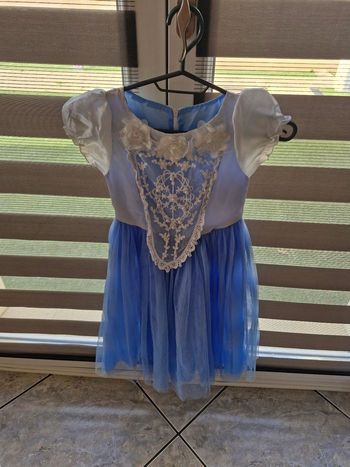 Deguisement de princesse  bleu