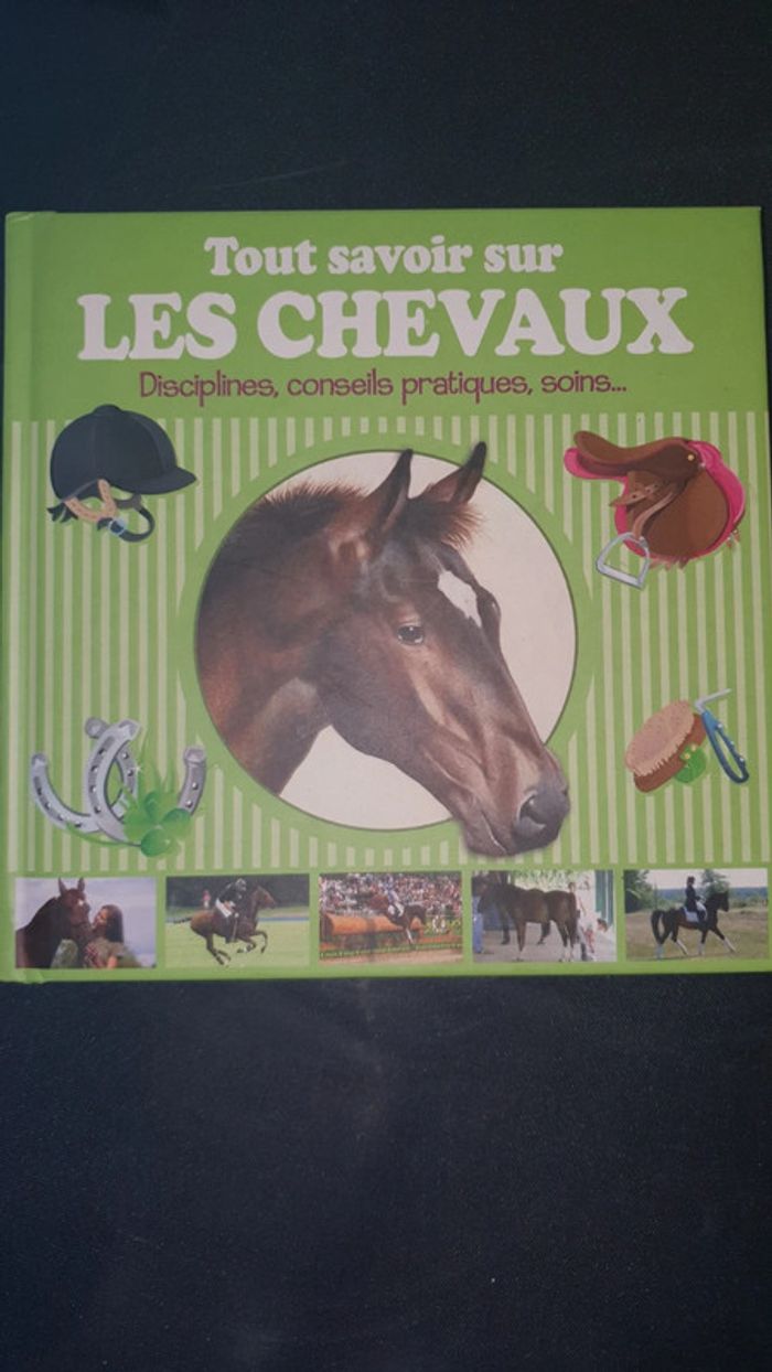 Tout savoir sur les chevaux