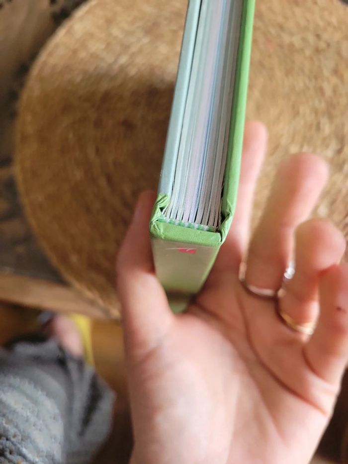 Babycook. 85 recettes de papa chef. - photo numéro 10