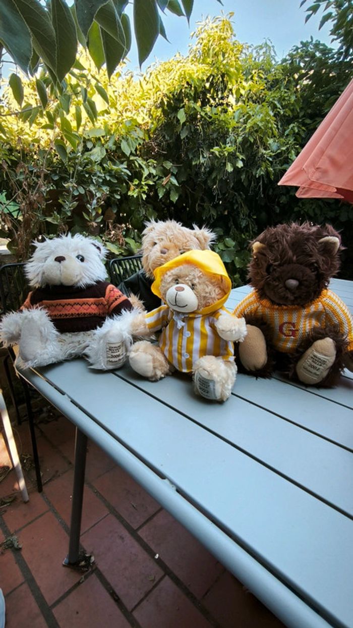 Lot de superbes peluche nounours giorgio beverly