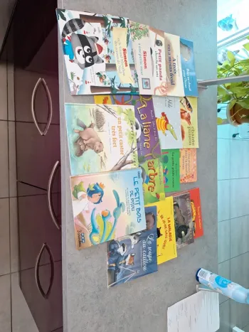Lots de livres 📚