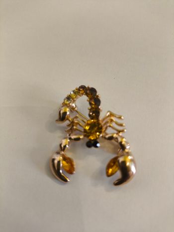 Broches scorpion 