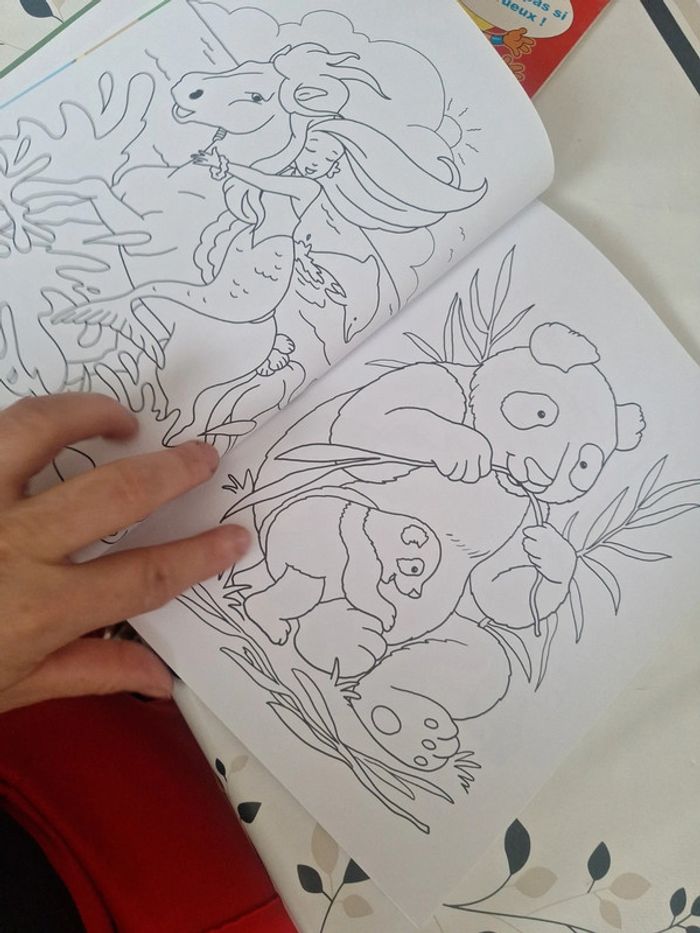 #cahier de coloriage - photo numéro 3