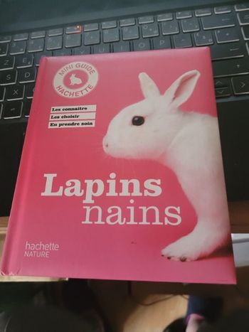 Lapins nains