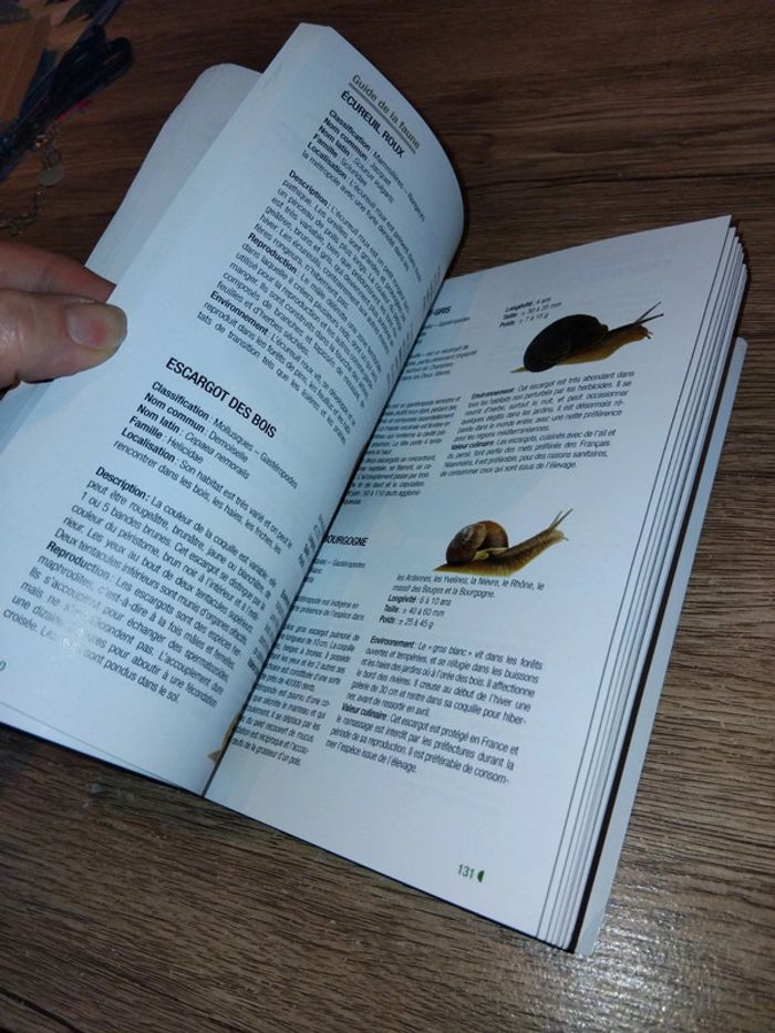 Guide de la faune et de la flore - photo numéro 4