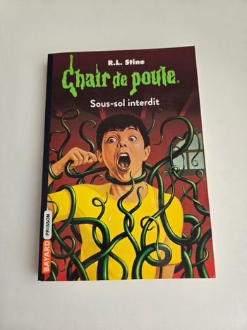 Chair de poule Sous-sol interdit