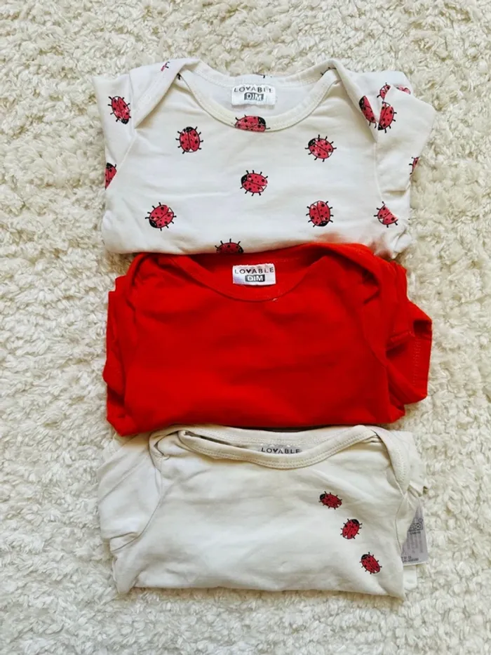Lot de 3 bodies DIM 6 mois