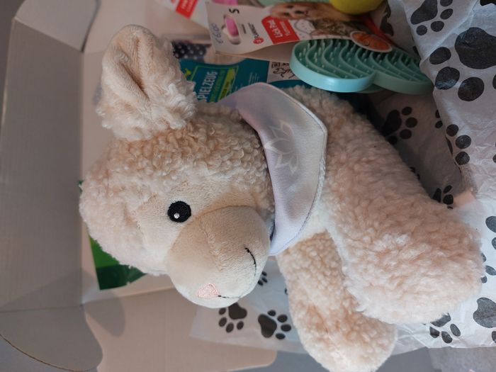 Coffret bienvenue pour chiot ou petit chien - photo numéro 2